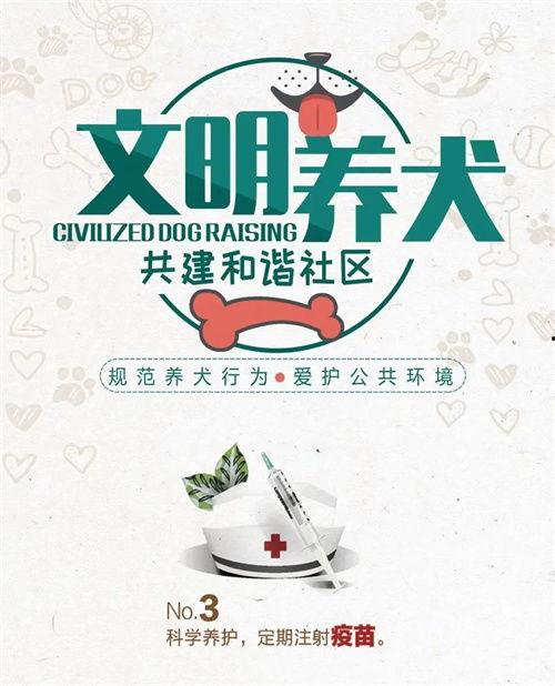 文明养狗人人有责